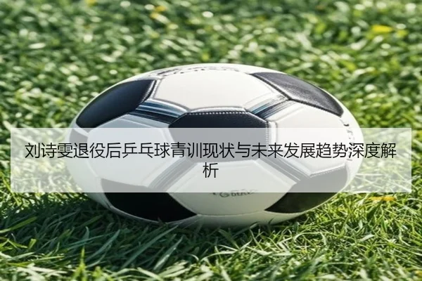 刘诗雯退役后乒乓球青训现状与未来发展趋势深度解析
